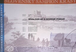 Slovenský Šampion krásy
